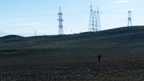 Shepherd leads sheep through Stock Footage 257367339