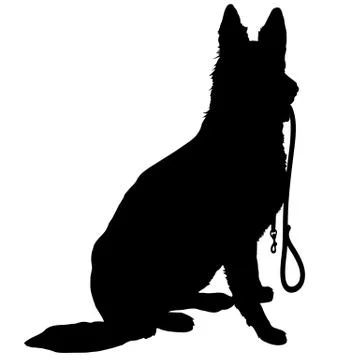 Shepherd with Leash Stock Illustration
