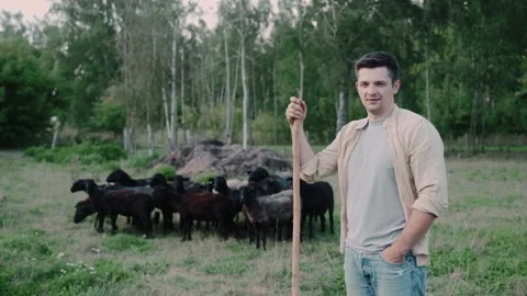 Shepherd looks at the camera against a herd of black sheep near the forest Vídeo Stock 235821243