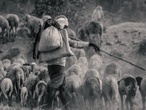 The shepherd man Stock Photos
