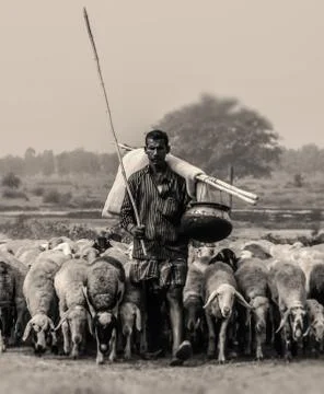 The shepherd man Stock Photos