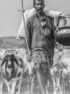 The shepherd man Stock Photos