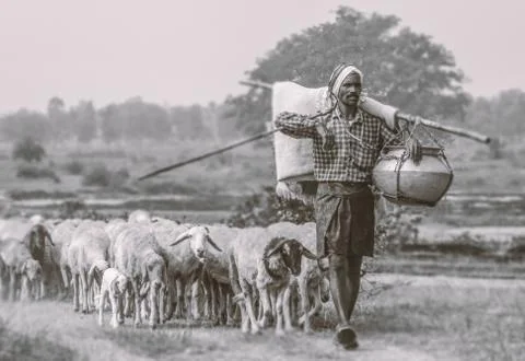 The shepherd man Stock Photos