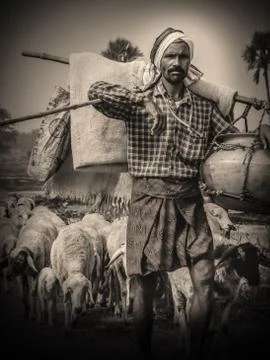 The shepherd man Stock Photos