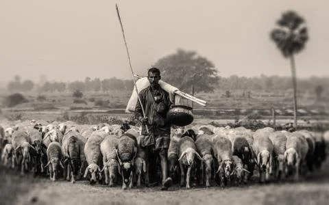 The shepherd man Stock Photos