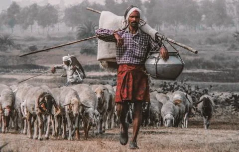 The shepherd man Stock Photos