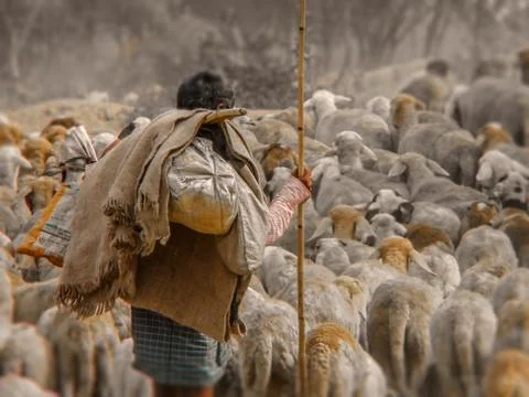 The shepherd man Stock Photos