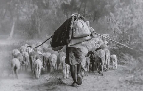 The shepherd man Stock Photos