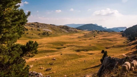 Shepherd moving his flock across the mountains (timelapse) 動画素材 69269837