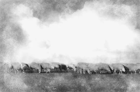 Shepherd with sheeps in a meadow Stock Illustration