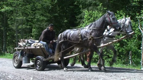 Shepherds in the Carpathian mountains 스톡 동영상 78239273