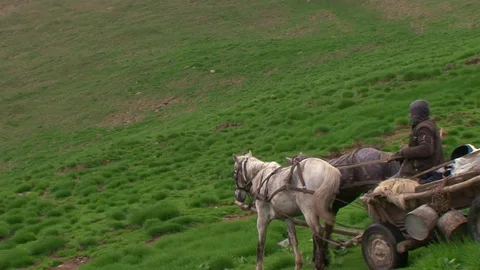Shepherds in the Carpathian mountains 動画素材 78239583