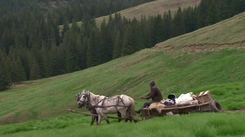Shepherds in the Carpathian mountains Stock-Footage 78239620