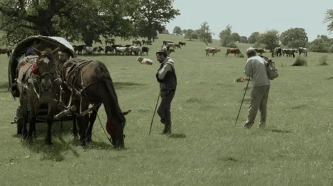 Shepherds with Covered Wagon in Romania -Graded- Stock Footage 51824022