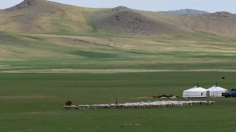 The shepherds drive a herd of sheep along the plain. Video stock 85181242