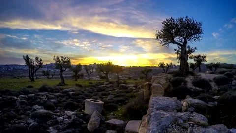 Shepherds Field, with sunset over Bethlehem; Jerusalem Israel Stock Footage 153891450