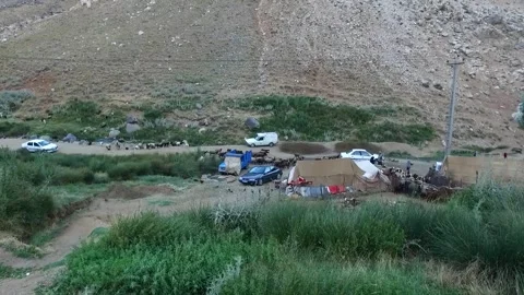 Shepherds guide their sheep towards a fenced barn, stock footage. Stock Footage 304818145