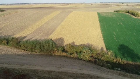 Shepherd’s house 2 Stock-Footage 99461018