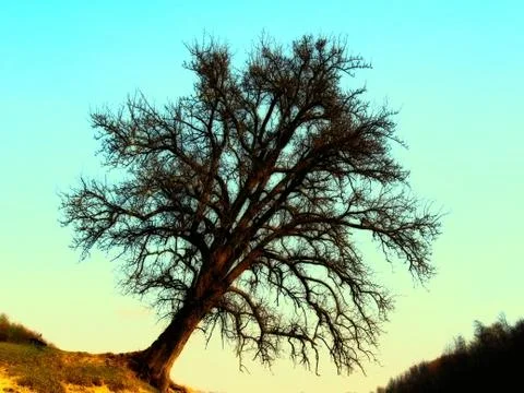 The shepherd's resting place Stock Photos