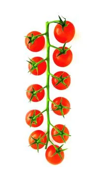 Сherry tomatoes 写真素材