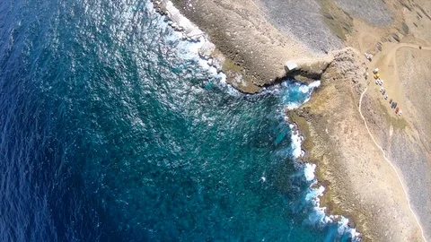 Shete Boca Video stock 101827358