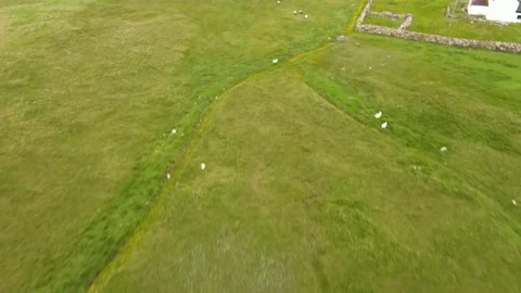 Shetland Island Flight Stock Footage 150239770