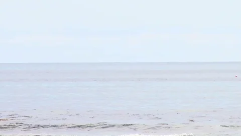 Shetland Islands General Views Stock Footage 77690346