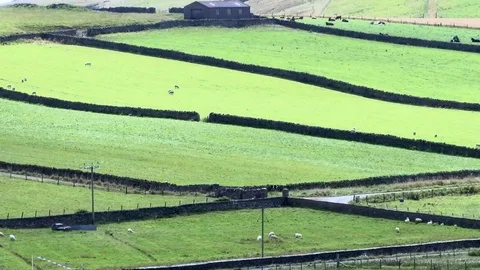 Shetland Islands General Views Stock Footage 77690989