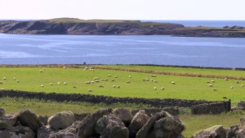 Shetland Islands General Views 動画素材 77704157