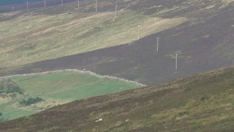 Shetland Islands general views Stock Footage 77758526