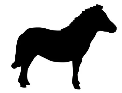 Shetland Pony Stock Illustration