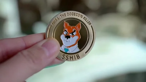 Shiba Coin Close up Stock Footage 167282430