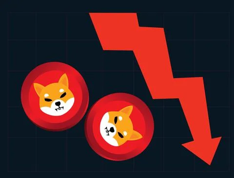 Shiba coin falls in value vector illustration Shiba coin and blockchain conce Illustrazione stock