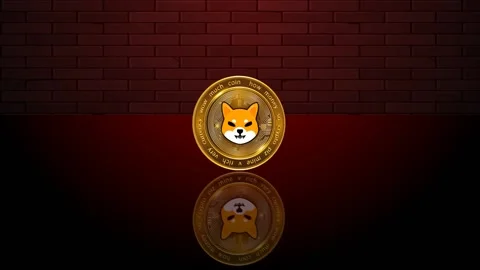 Shiba inu cryptocurrency 3d rotating effect green screen background Stock Footage 239596000