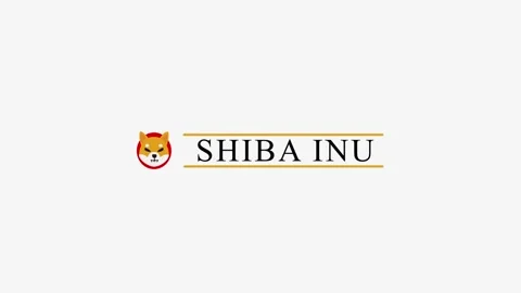 SHIBA INU Stock Footage 165397197