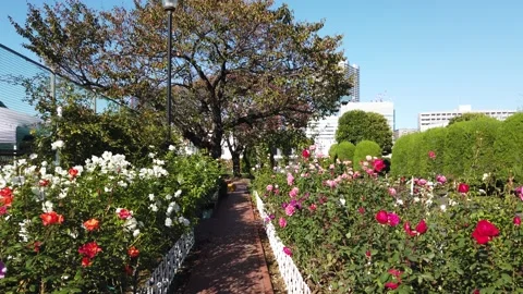 Shibaura Central Park Video stock 148200658