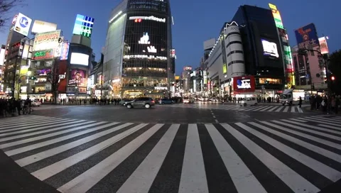 Shibuya Crossing Video stock 5190440