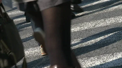 Shibuya Crossing Stock Footage 32087815