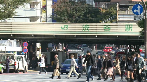 Shibuya Crossing Stock Footage 32088112