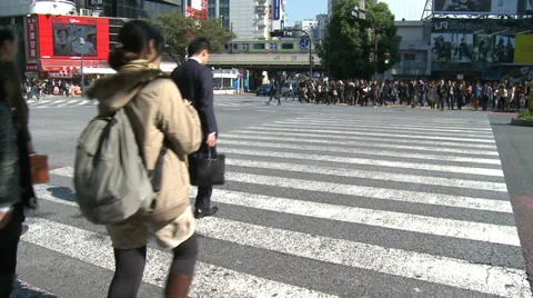 Shibuya Crossing Stock Footage 32088385