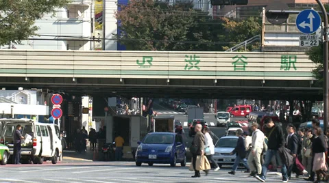 Shibuya Crossing Stock Footage 32240067