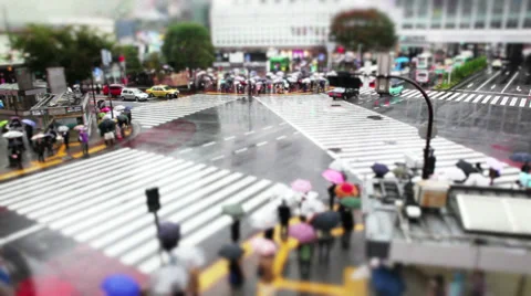 Shibuya Crossing Stock Footage 32260326