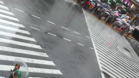 Shibuya Crossing Stock Footage 32261573