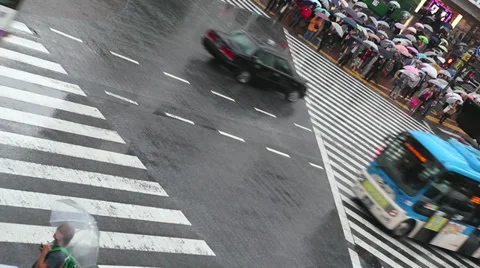 Shibuya Crossing Stock Footage 32261643