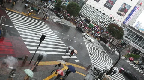 Shibuya Crossing Stock Footage 32261720