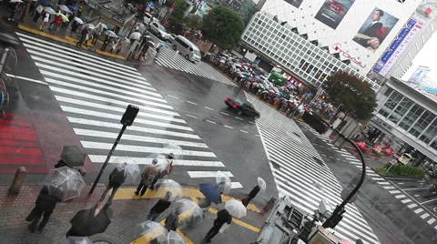 Shibuya Crossing Stock Footage 32261939