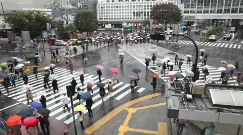Shibuya Crossing Stock Footage 32262333