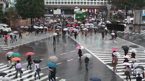 Shibuya Crossing Stock Footage 32262464