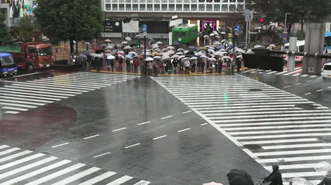 Shibuya Crossing 動画素材 32262608