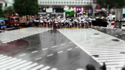 Shibuya Crossing Stock-Footage 32263545